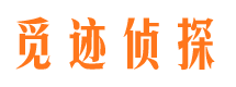 道外私家调查公司